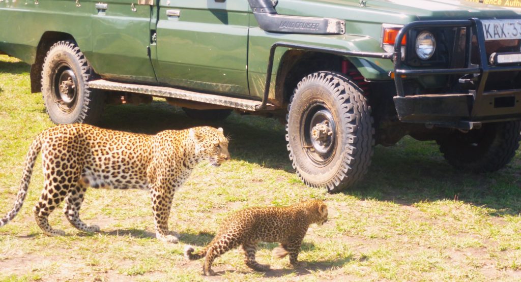 Kenya Tanzania Tour Package