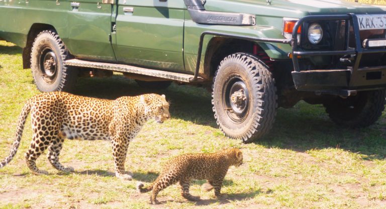 Kenya Tanzania Tour Package
