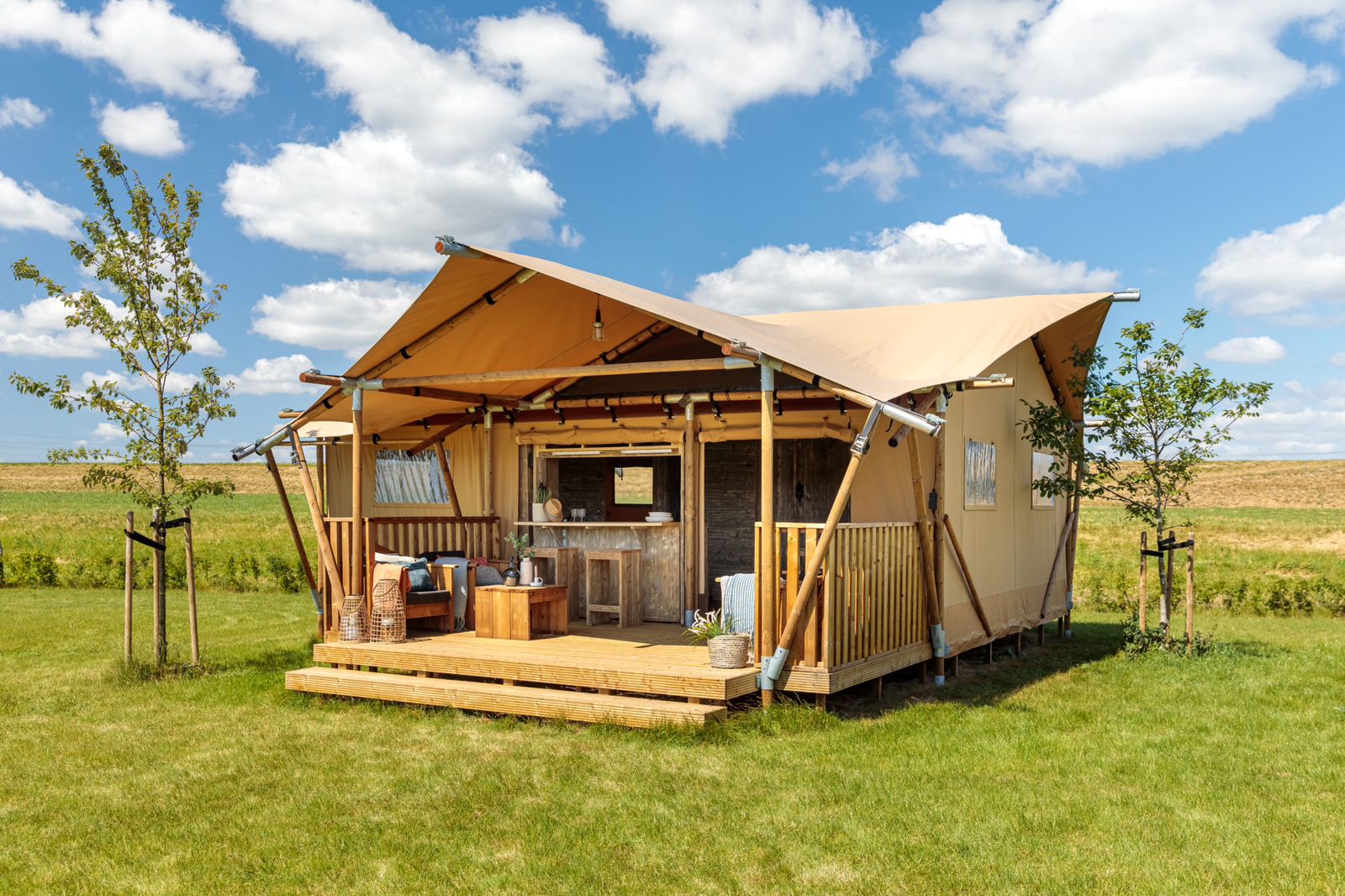 Luxury Safari Experiences in Kenya