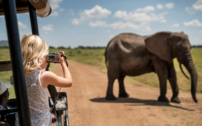 Tanzania safari