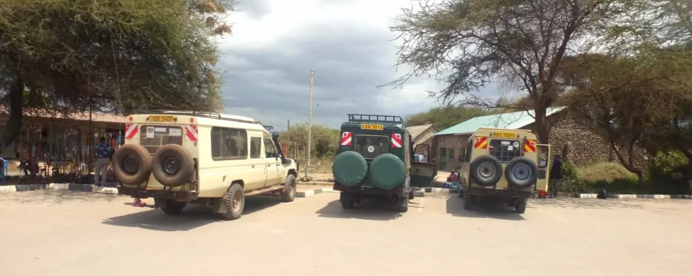 Kenya Safari Experience