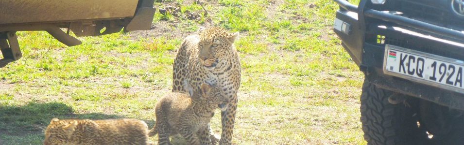 Kenya Tanzania Tour Package