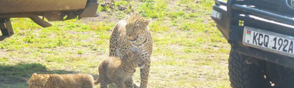 Kenya Tanzania Tour Package