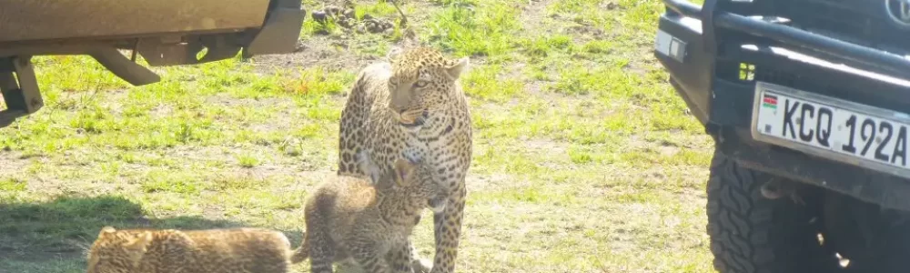 Kenya Tanzania Tour Package