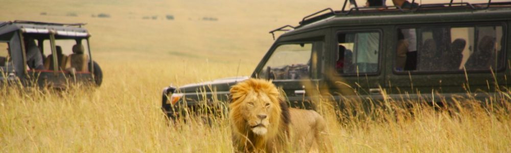 Kenya and Tanzania Parks