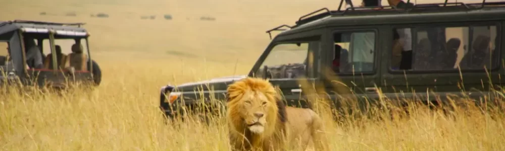 Kenya and Tanzania Parks
